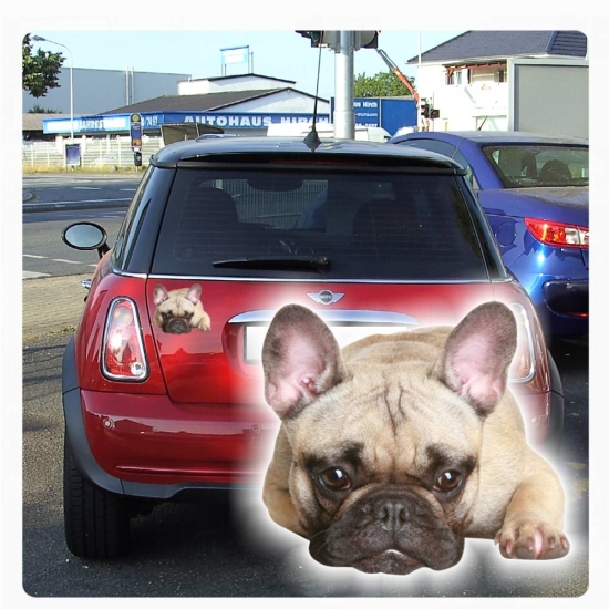 Autoaufkleber Französische Bulldogge Sticker Digitaldruck DA2000
