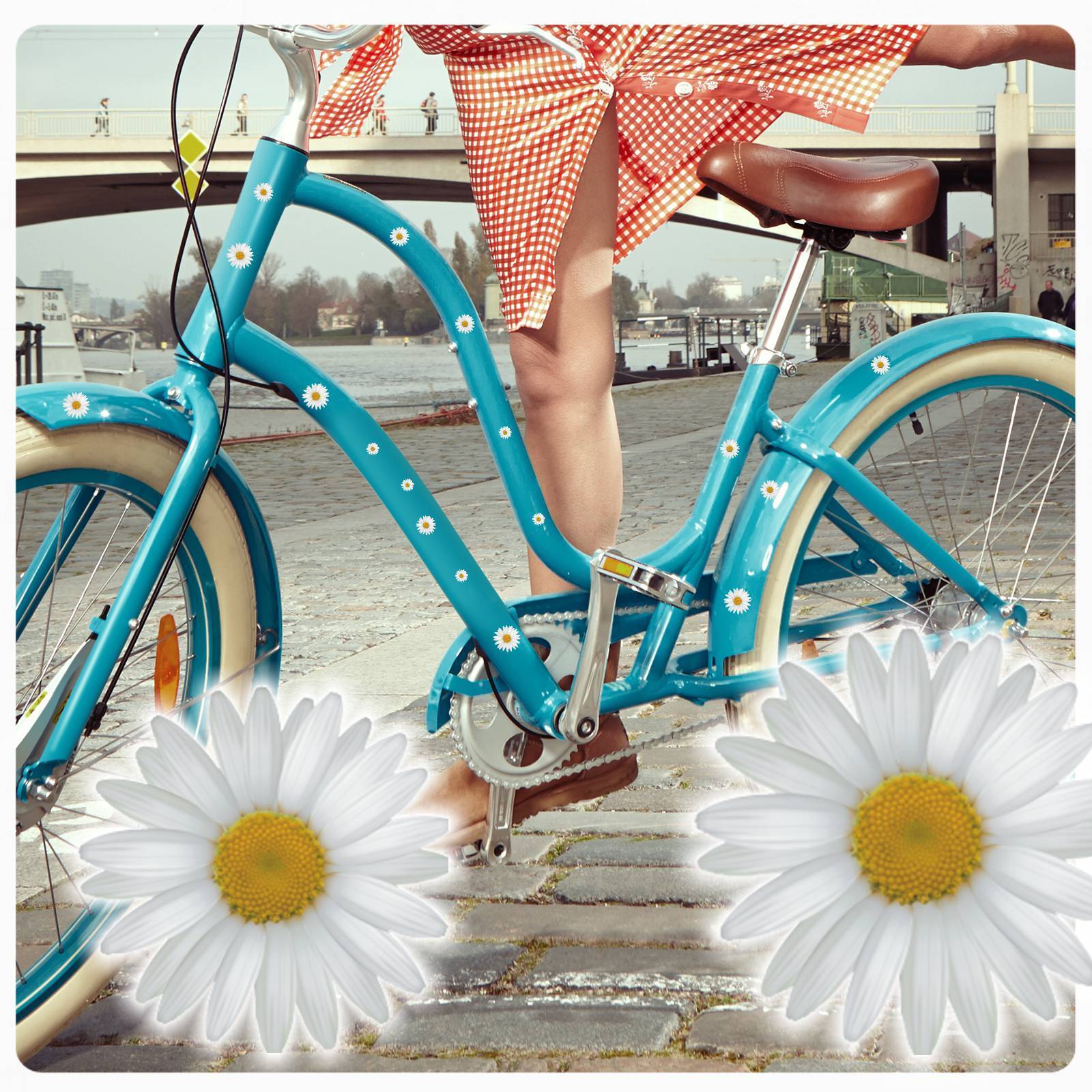 Fahrradaufkleber Margeriten Blumen Blüten Fahrrad Bike